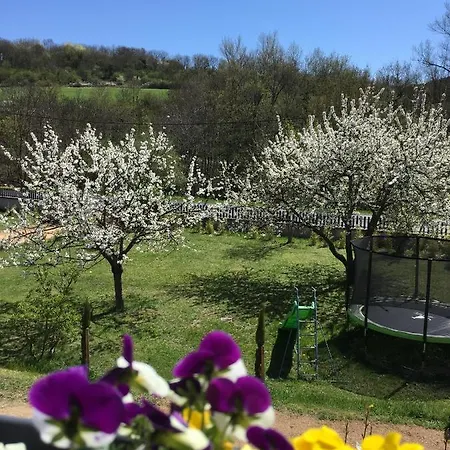 Maison D'hotes La Couze Bed & Breakfast Champeix